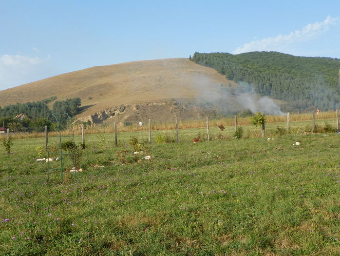 19 sept (31) - z-Dobarland 2015