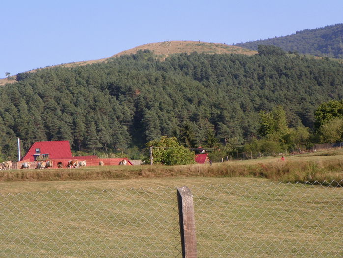 19 sept (36) - z-Dobarland 2015