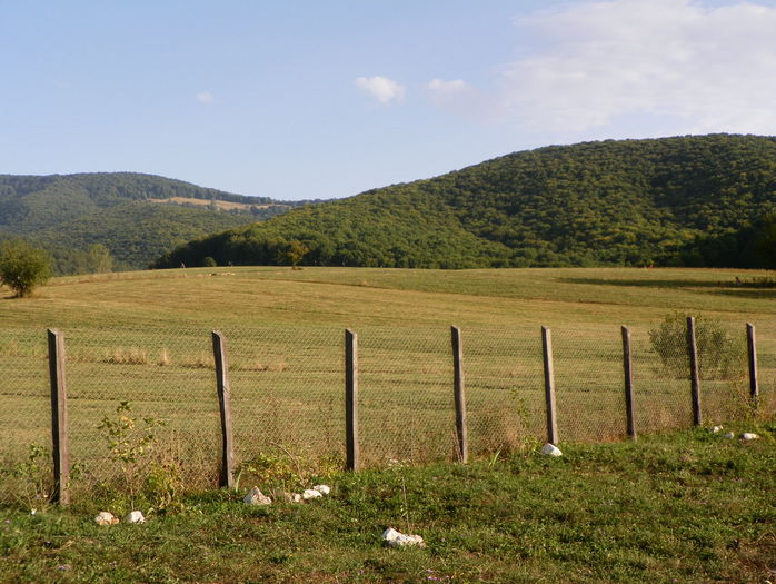 19 sept (37) - z-Dobarland 2015
