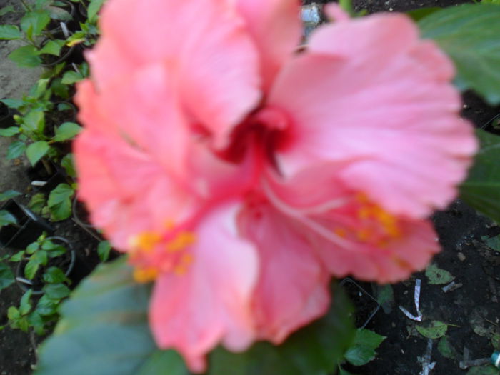 050