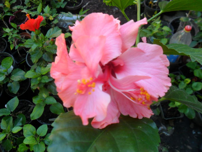 051