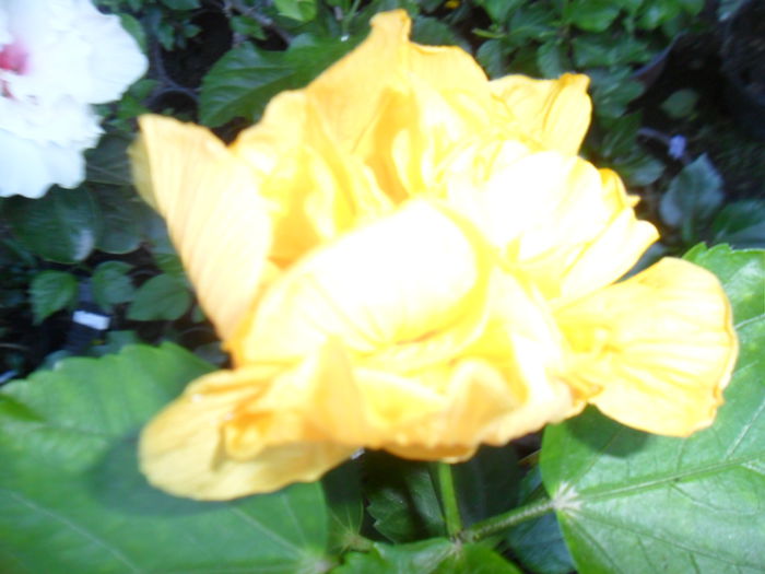 070