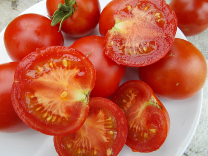  - SEMINTE ROSII - MATINA