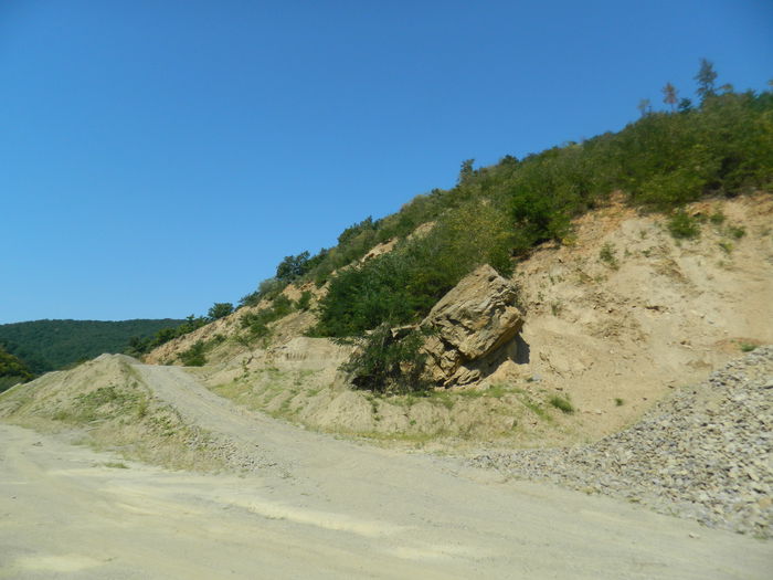 DSCN5174 - 2015_MARCA_3