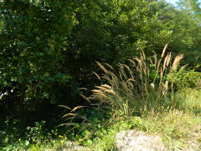 DSCN5177 - 2015_MARCA_3