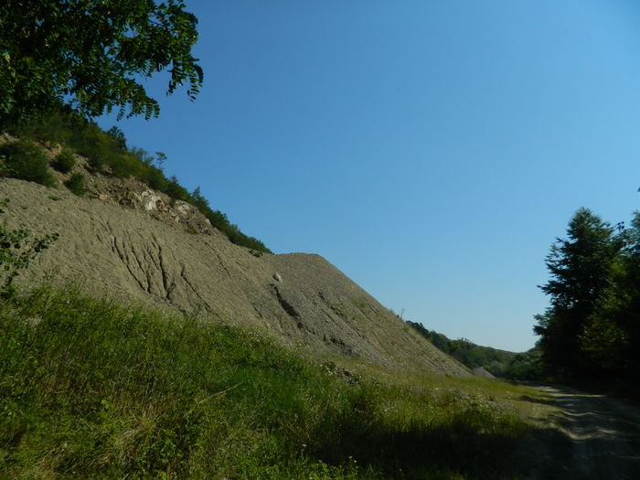 DSCN5180 - 2015_MARCA_3