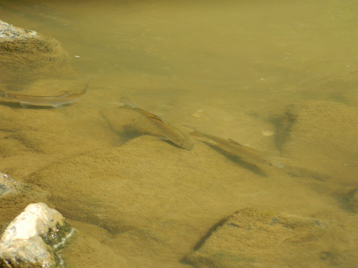 DSCN5205 - 2015_MARCA_3