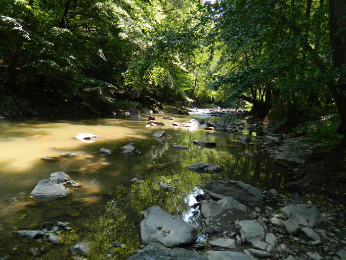 DSCN5214 - 2015_MARCA_3