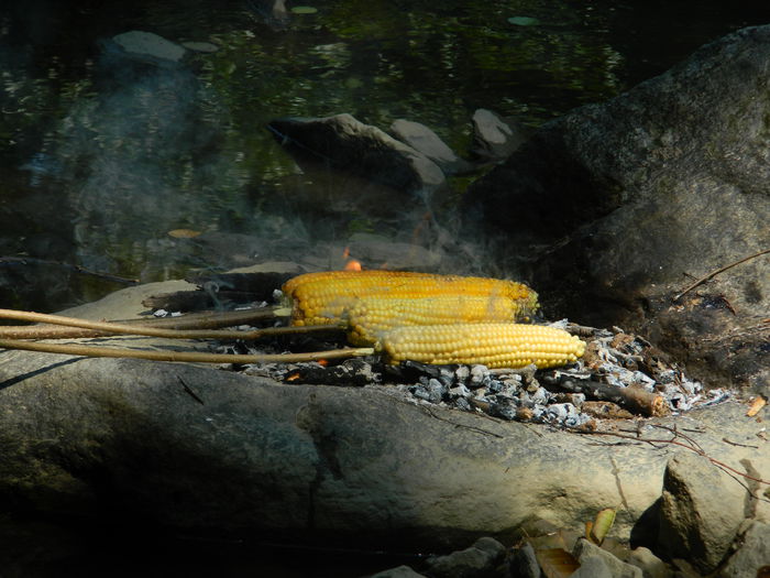 DSCN5224 - 2015_MARCA_3