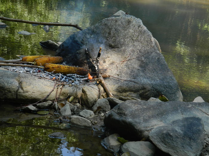 DSCN5232 - 2015_MARCA_3