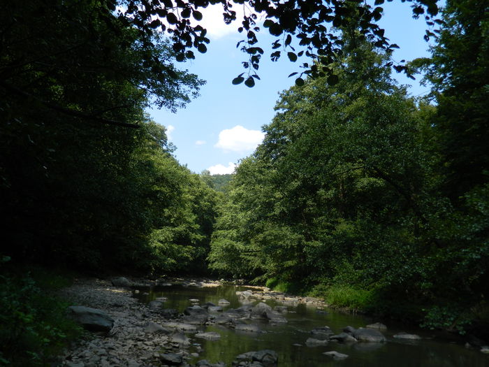 DSCN5235 - 2015_MARCA_3