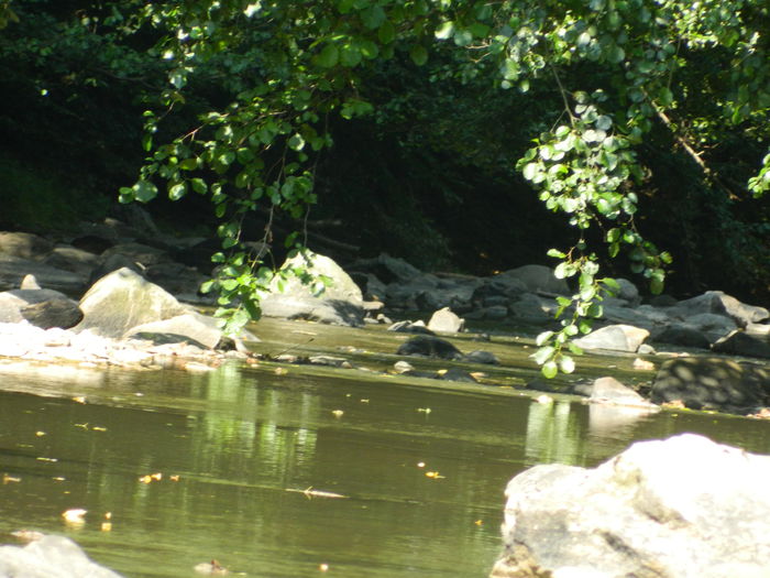 DSCN5236 - 2015_MARCA_3