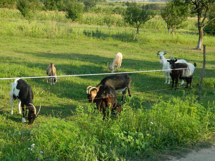 DSCN5272 - 2015_MARCA_3