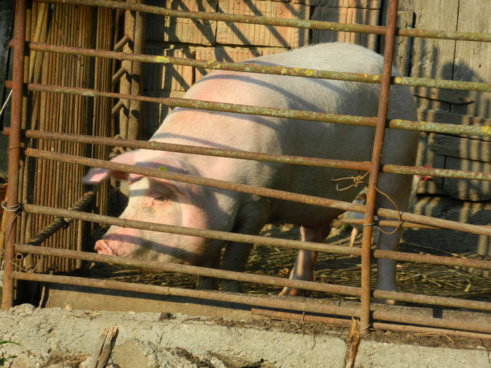 DSCN5280 - 2015_MARCA_3