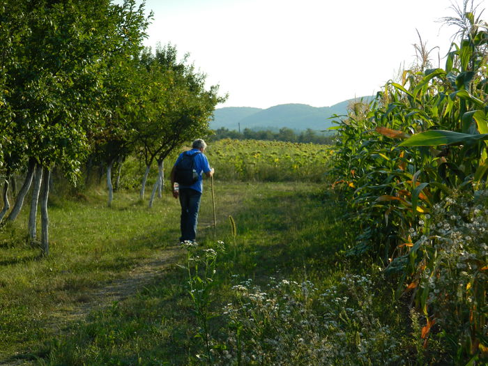 DSCN5281 - 2015_MARCA_3