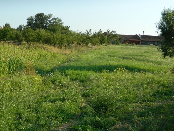 DSCN5283 - 2015_MARCA_3