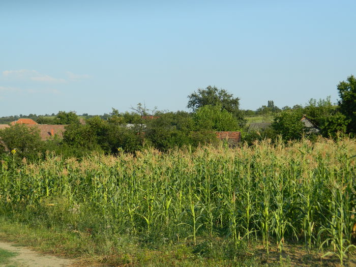 DSCN5285 - 2015_MARCA_3