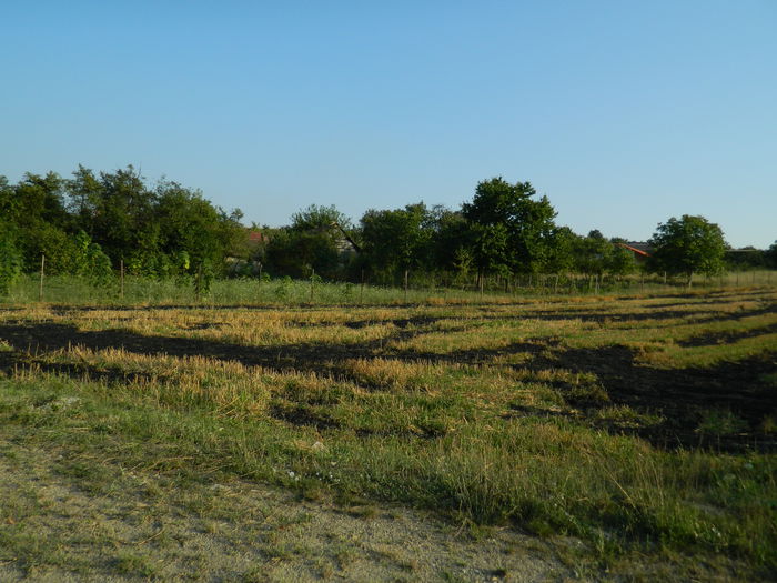 DSCN5291 - 2015_MARCA_3