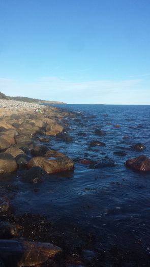 20150920_165343; Arendal
