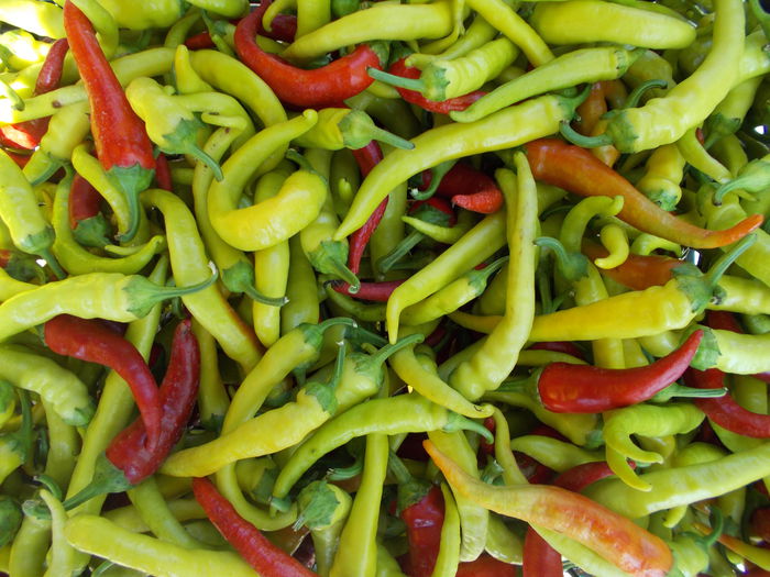 ARDEI SEMIUTE DRACULA