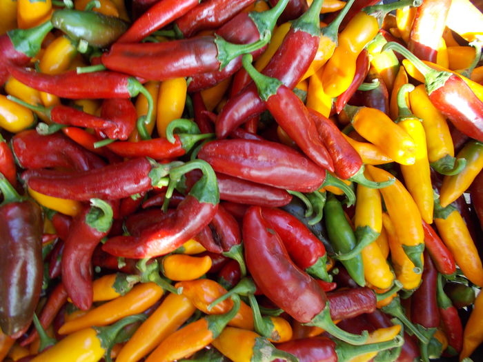 BULGARIAN CARROT SI MARE IUTE ROSU - SEMINTE ARDEI IUTE CHILI