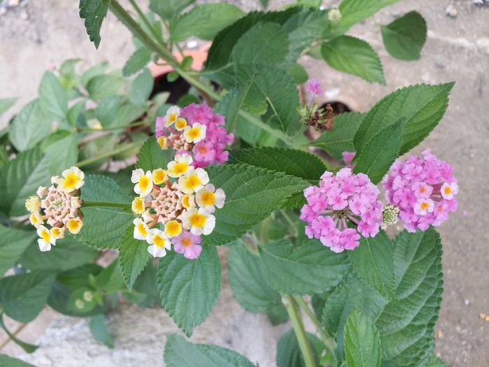 20150920_100756