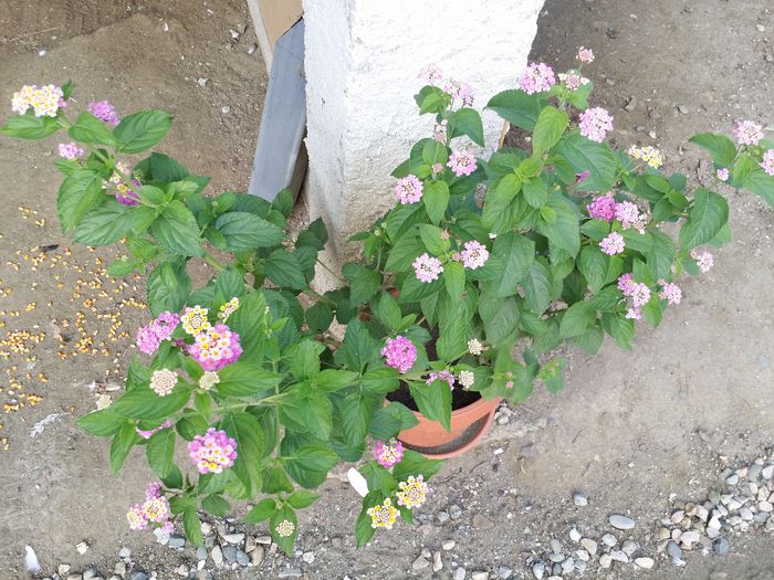 20150920_101036