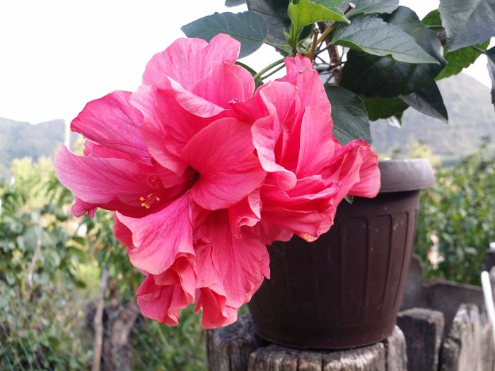 20150919_181638