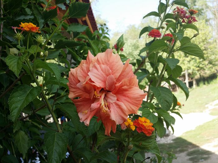 20150919_152208
