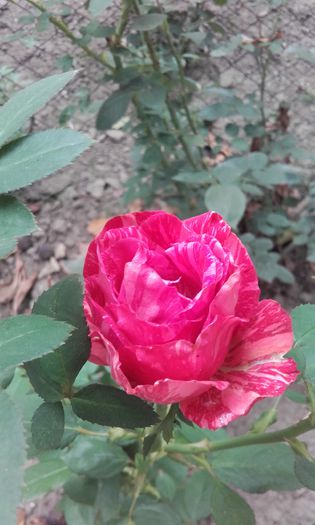 20150920_112319