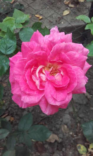 20150920_112340