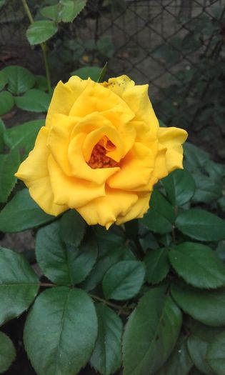 20150920_112352
