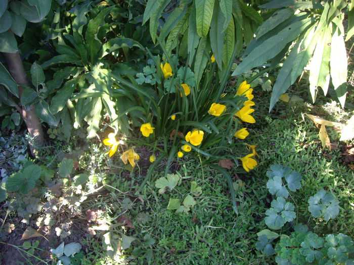 IMGP9022