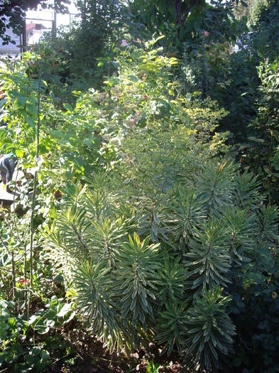 IMGP9026