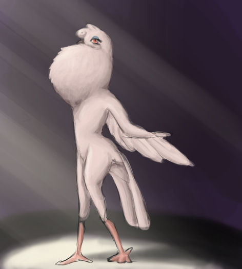 show_bird_by_bkatt500-d64p77j - 0  About