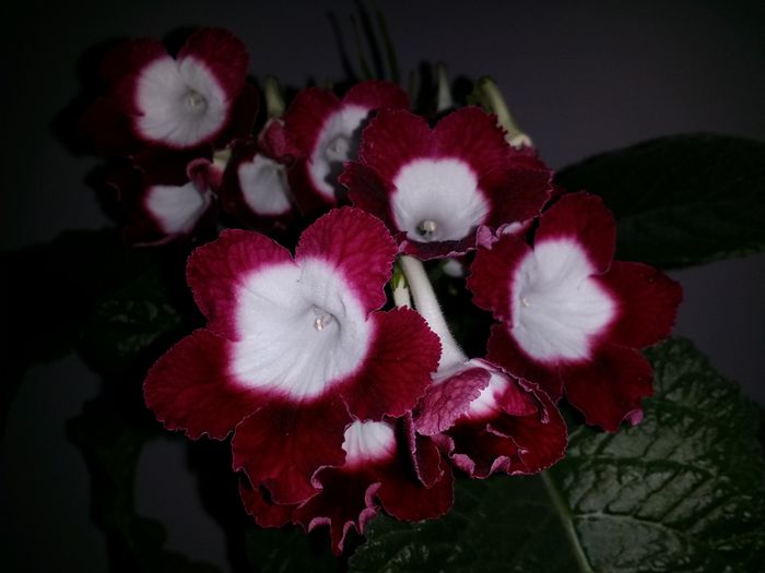 20150921_175513