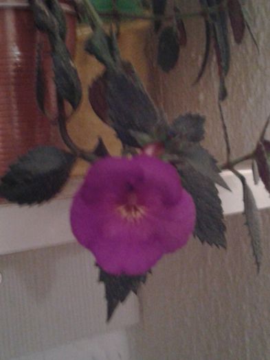 20150921_010359