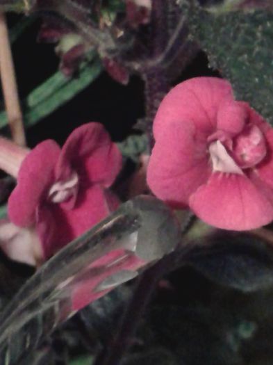 20150921_010703