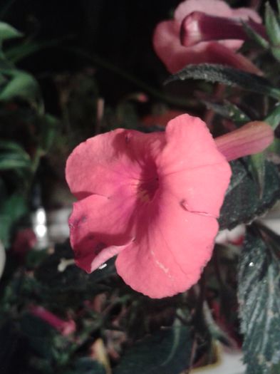 20150921_010733
