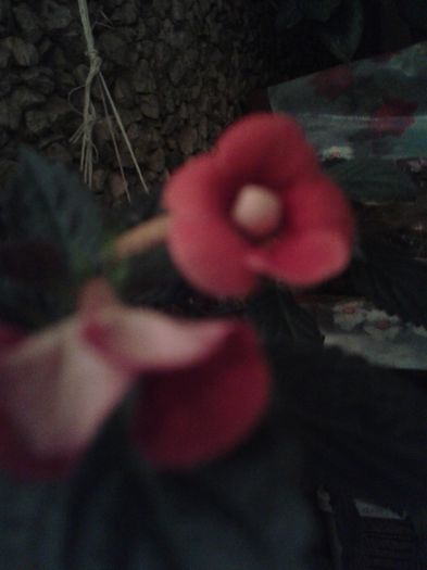20150921_010755
