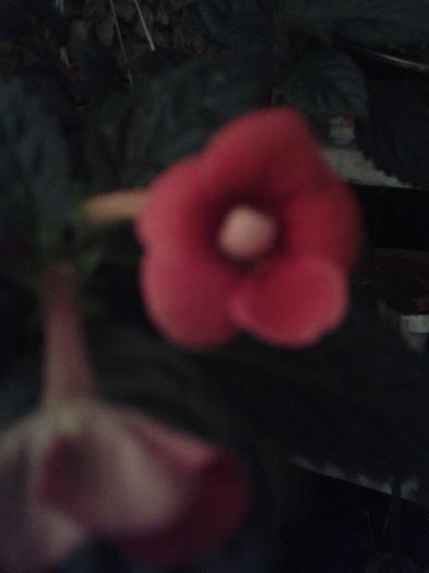 20150921_010804
