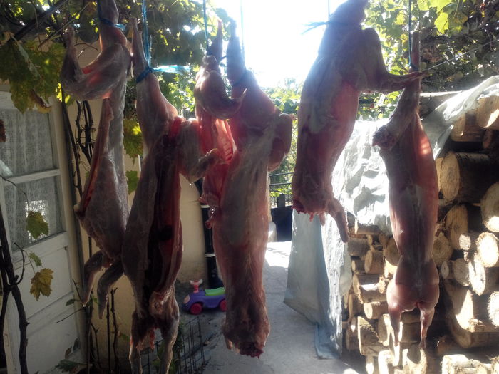 IMG_20150919_112047060