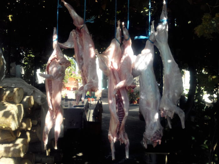 IMG_20150919_112108461