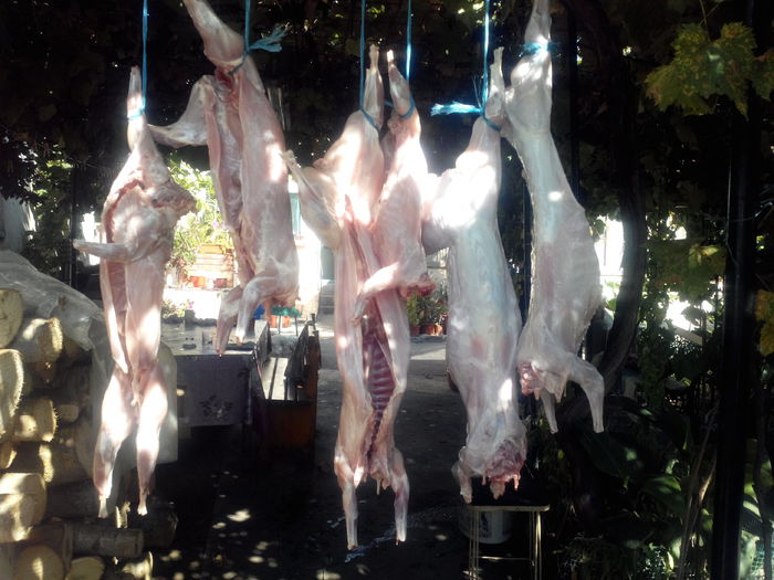 IMG_20150919_112115571