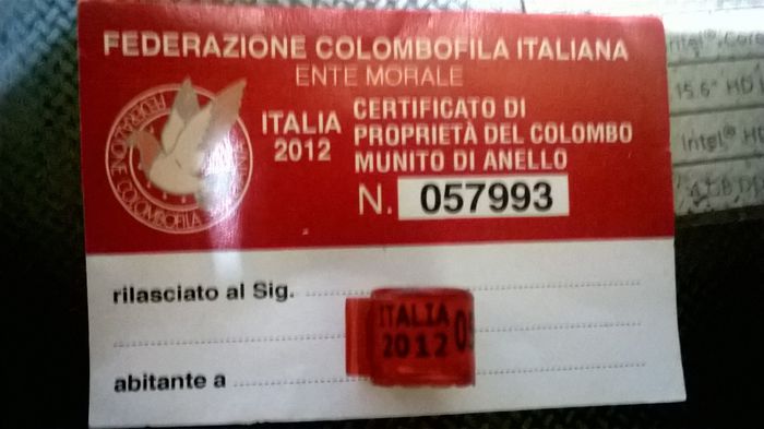 ITALIA  2012  5 buc