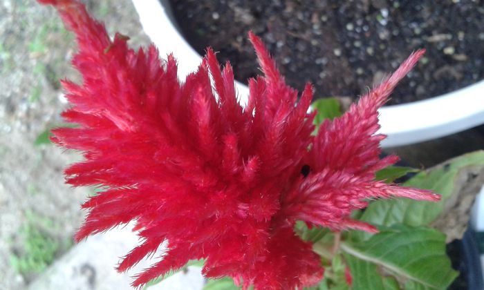 20150919_181925 - martori  in timp