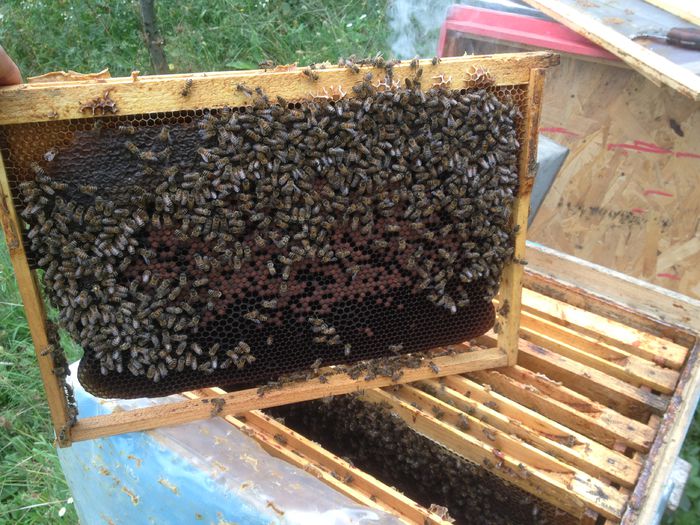 IMG_1688; 21 SEP 2015
