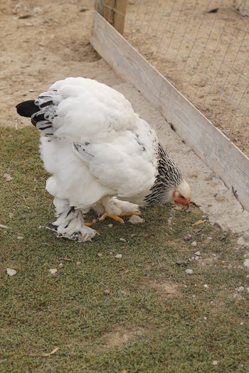 _MG_8226 - Tineret septembrie 2015