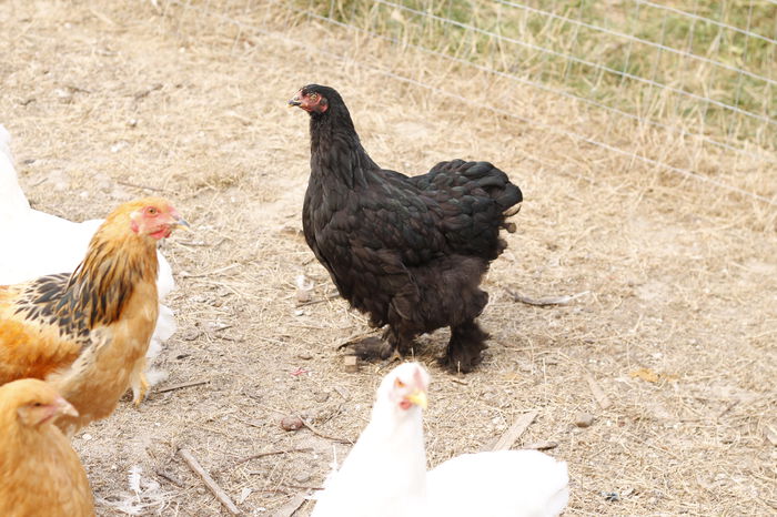 _MG_8231 - Tineret septembrie 2015