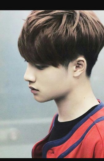 D.O - Exo DO